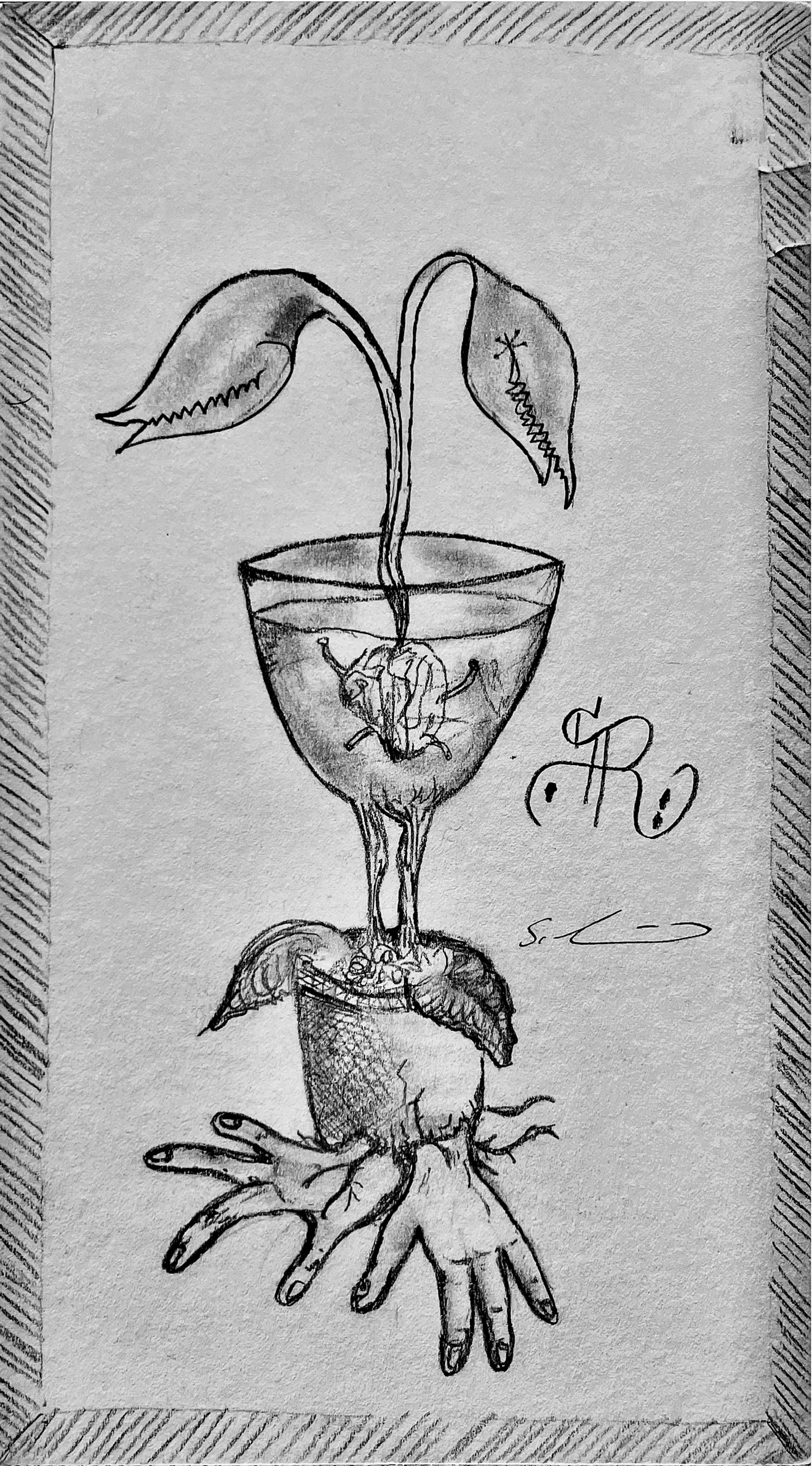 Pflanzen im Becher zu zweit Skizze pusclus