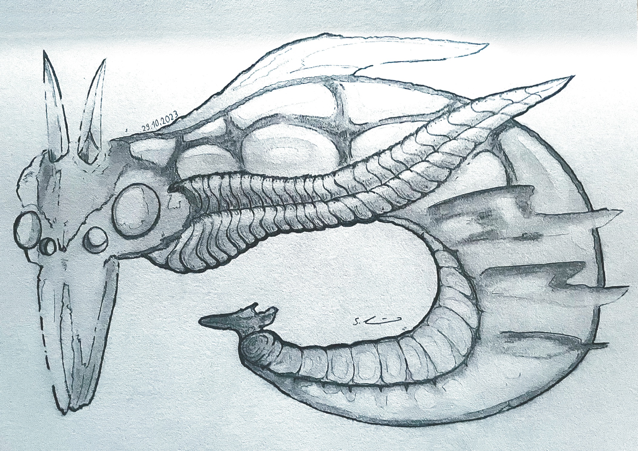 Wasser Tier Skizze pusclus